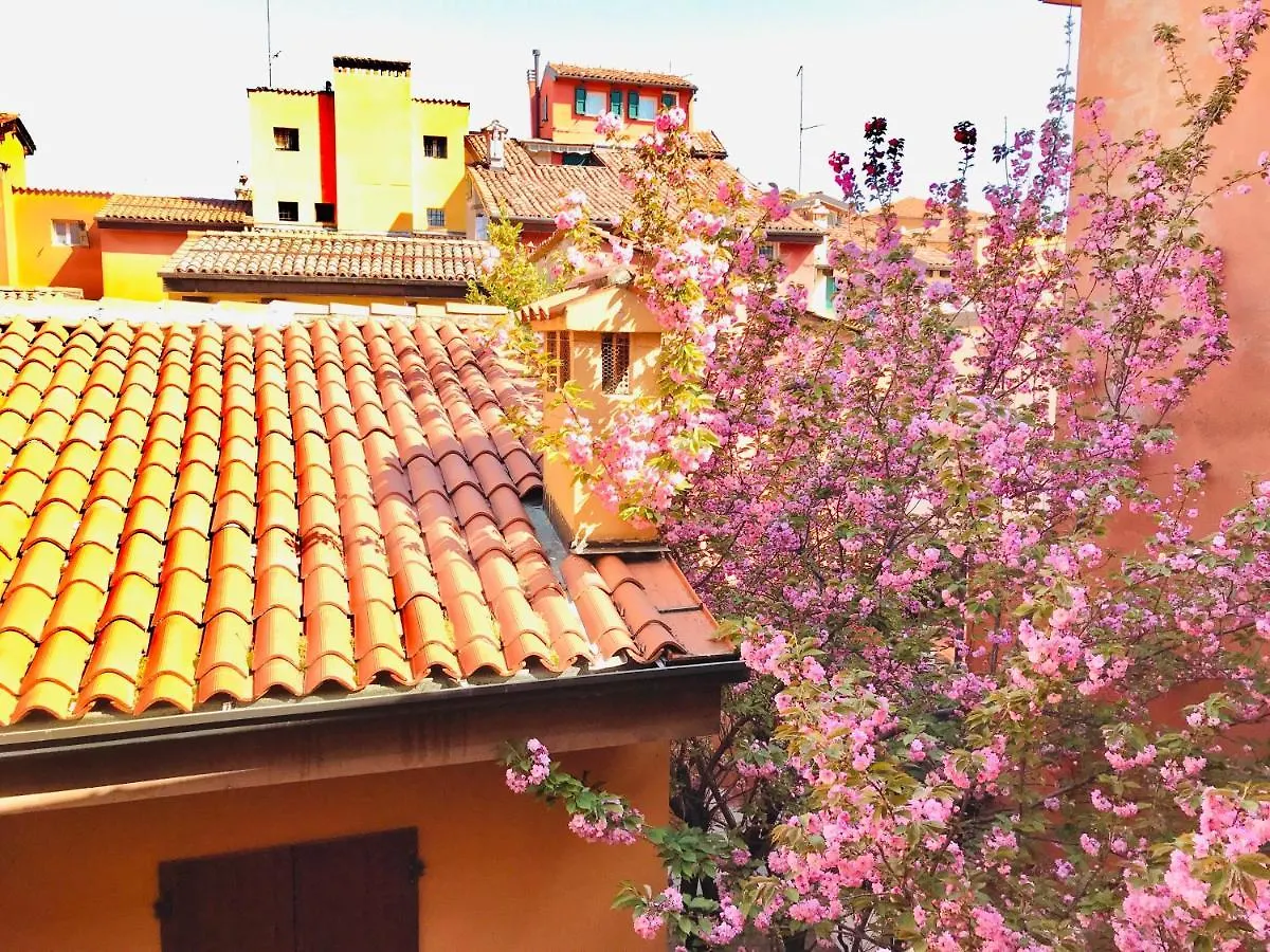 Falcone 22 Bologna Apartment